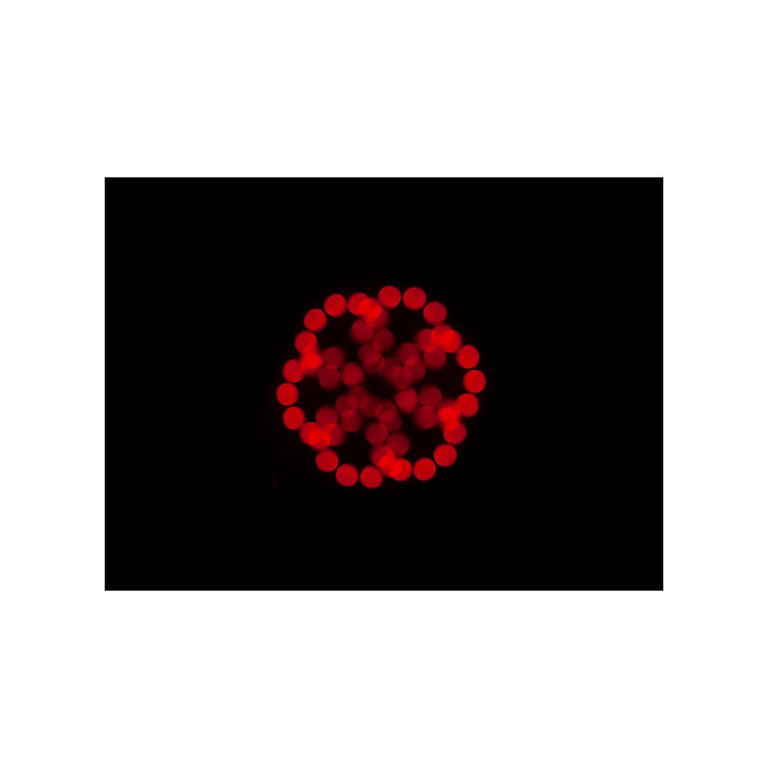 ADJ Focus Spot 5Z - Image 12